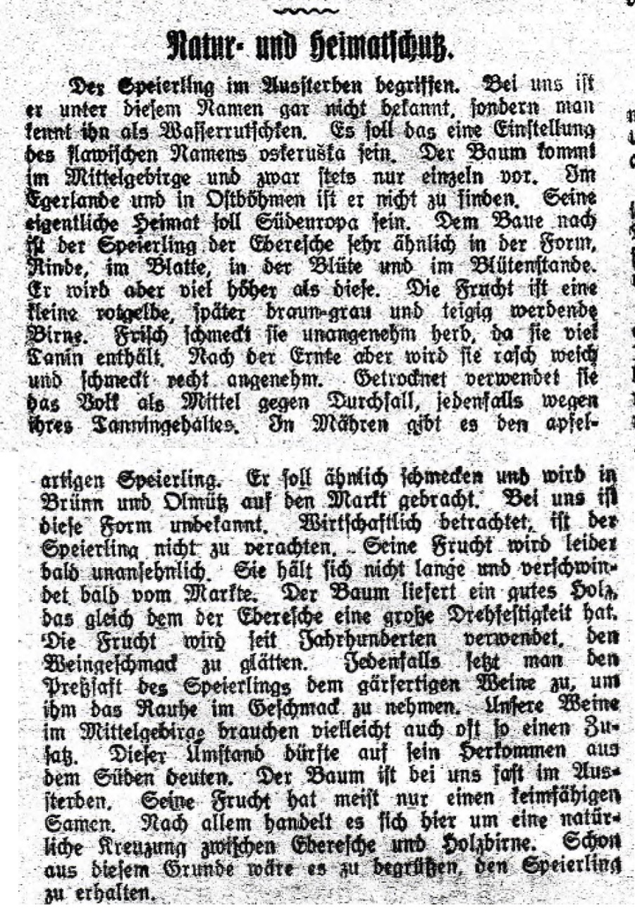 Leitmeritzer Zeitung, Beilage Unsere Heimat, 1931, str. 44